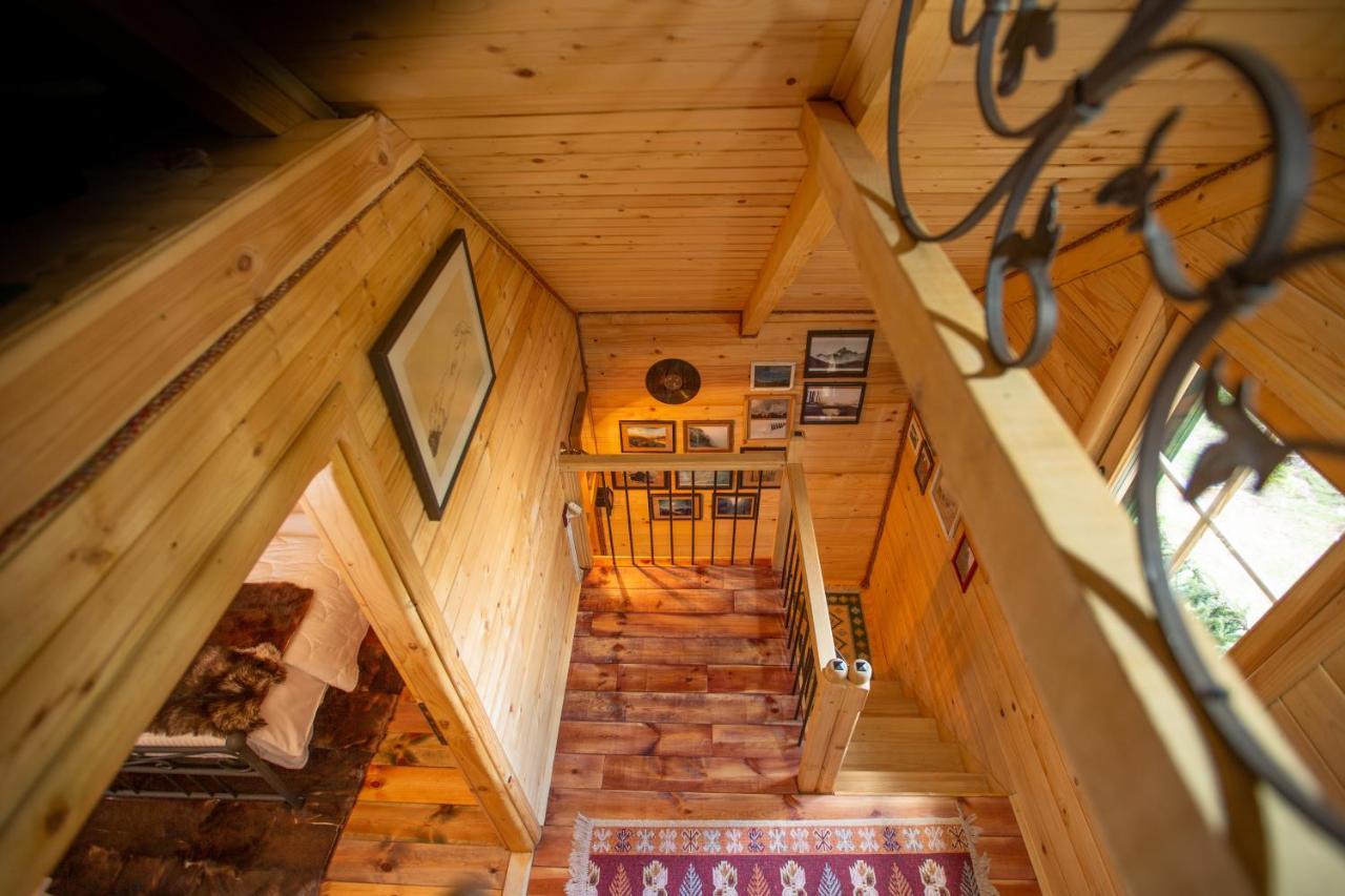 Villa Piccolo Orso Žabljak Exterior foto